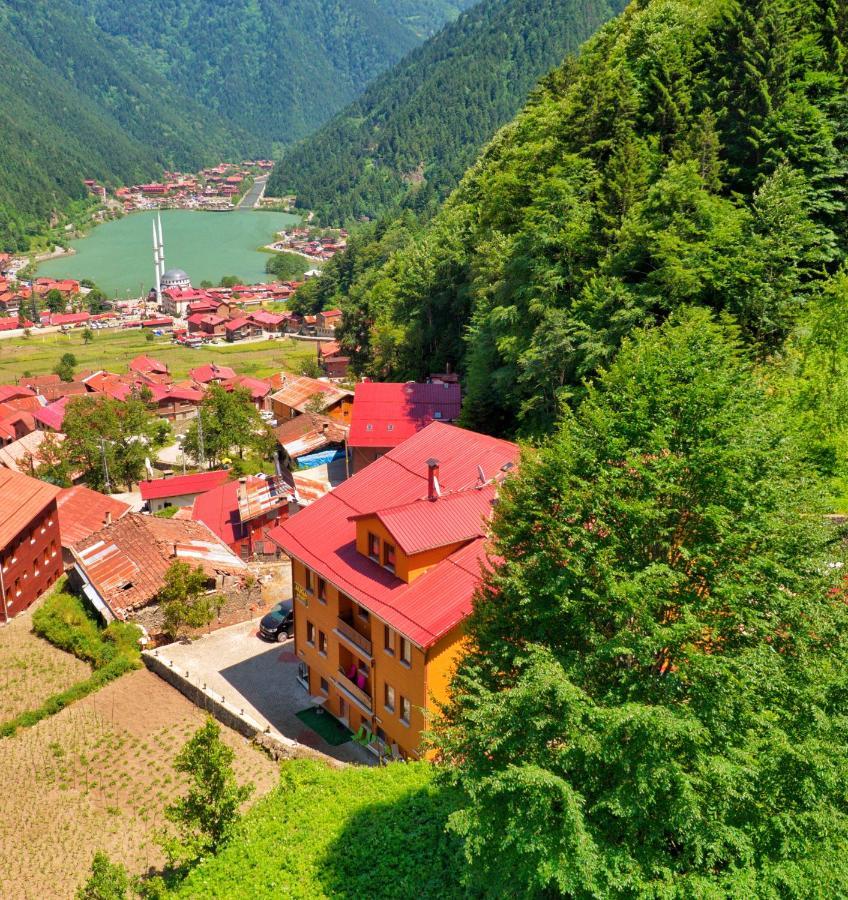 Auga Apart Uzungöl Zewnętrze zdjęcie